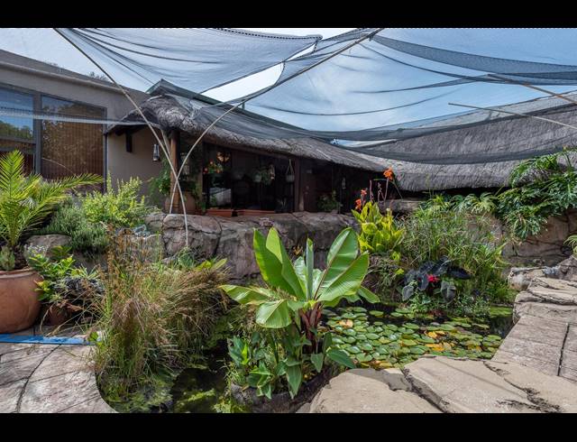 3 BEDROOM FREEHOLD FOR SALE IN KENSINGTON